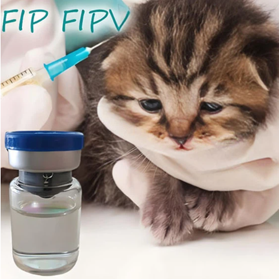 GS-441524 injection | Shaanxi BLOOM Tech Co., Ltd GS-441524 injection | Shaanxi BLOOM Tech Co., Ltd