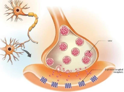 Bioglutide NA-931 price | Shaanxi BLOOM Tech Co., Ltd Bioglutide NA-931 price | Shaanxi BLOOM Tech Co., Ltd