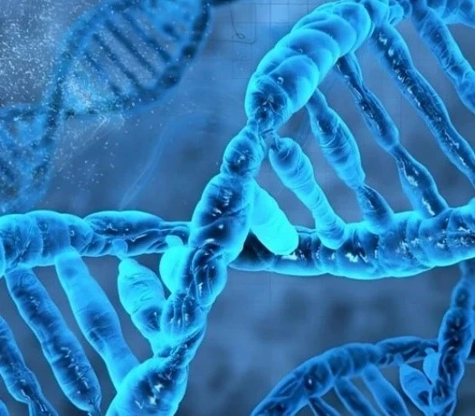 RU58841 pay | Bloomtechz RU58841 pay | Bloomtechz